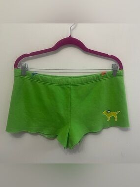 Y2K VS PINK Lime Lowerise Shorts Embroidered Flowers Dog Pink Logo in the Back